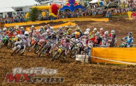 49b3869c836d43049f23429d519aadc8-adacholzgerlingen20141951