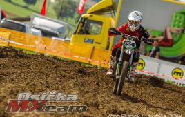 8c0748df56c740558781f350d54503b3-adacholzgerlingen2014351